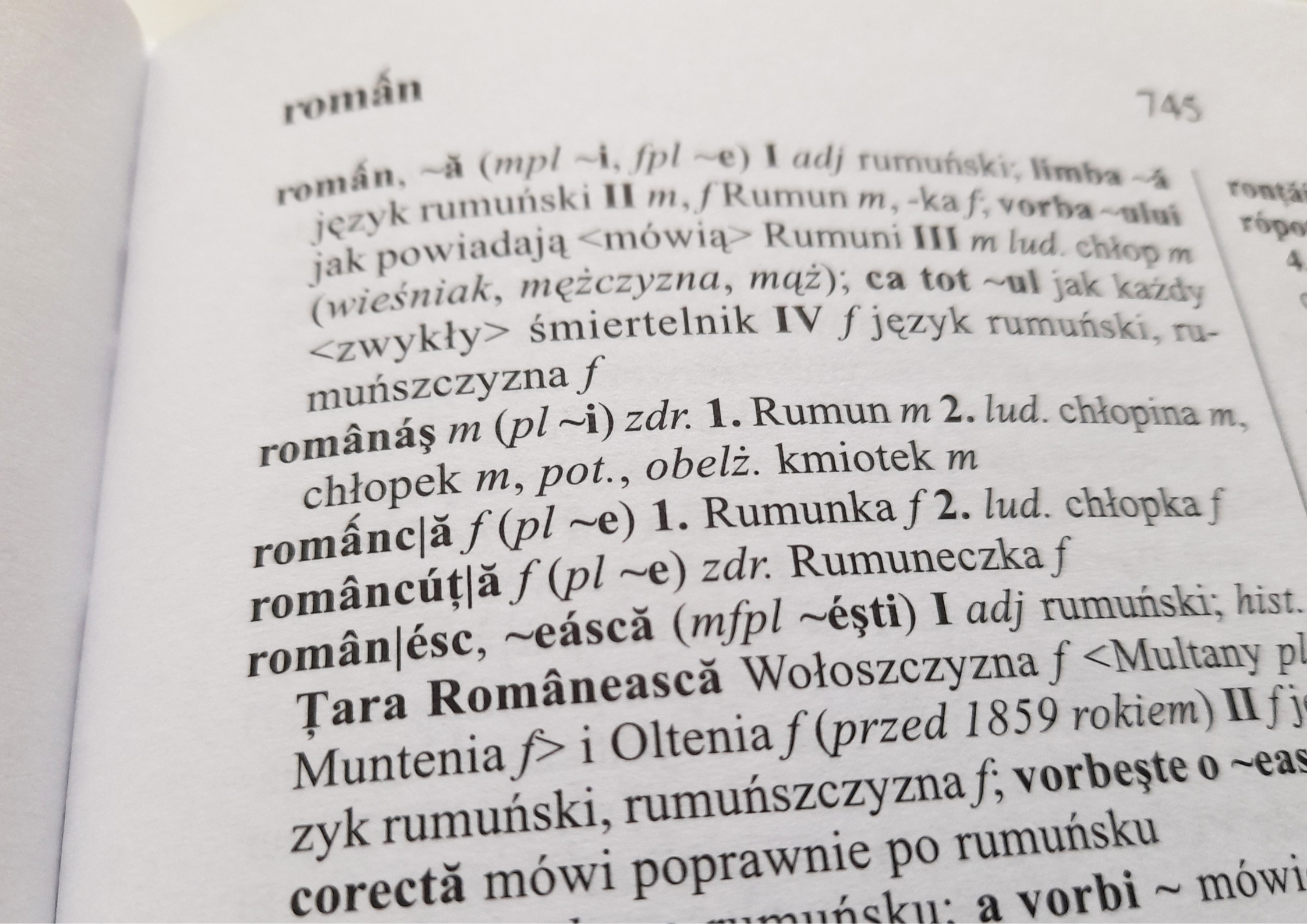Read more about the article Czy język rumuński jest trudny?